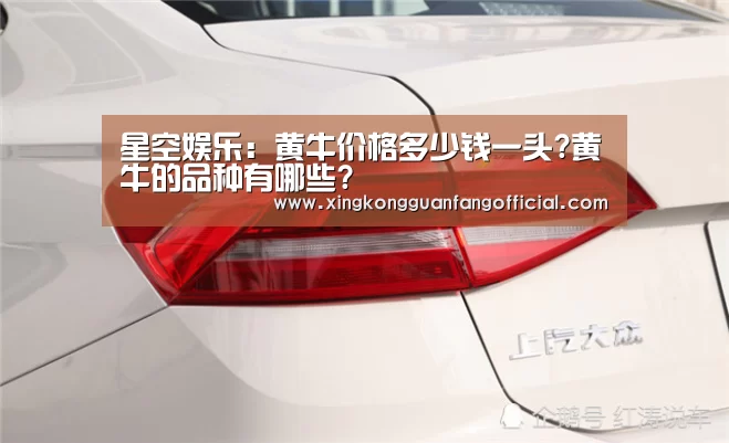 星空娱乐:黄牛价格多少钱一头?黄牛的品种有哪些?(图1) 星空娱乐