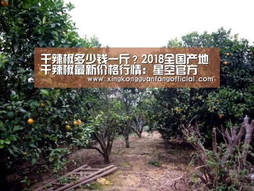 干辣椒多少钱一斤?2018全国产地干辣椒最新价格行情:星空官方(图4) 星空官方