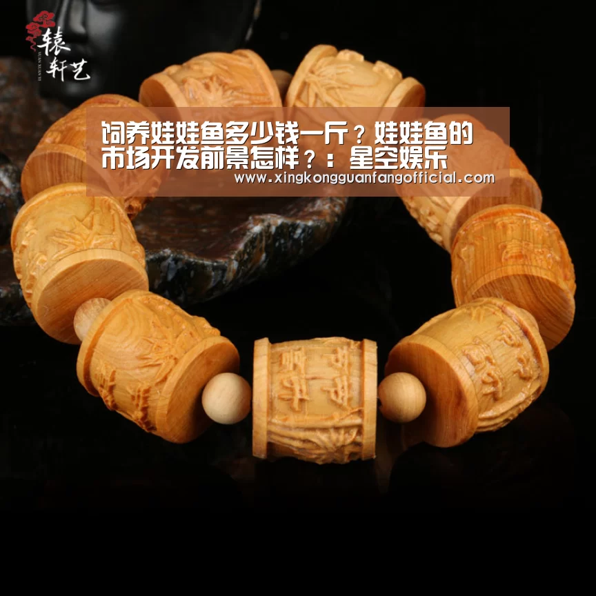 饲养娃娃鱼多少钱一斤?娃娃鱼的市场开发前景怎样?:星空娱乐(图1) 星空娱乐