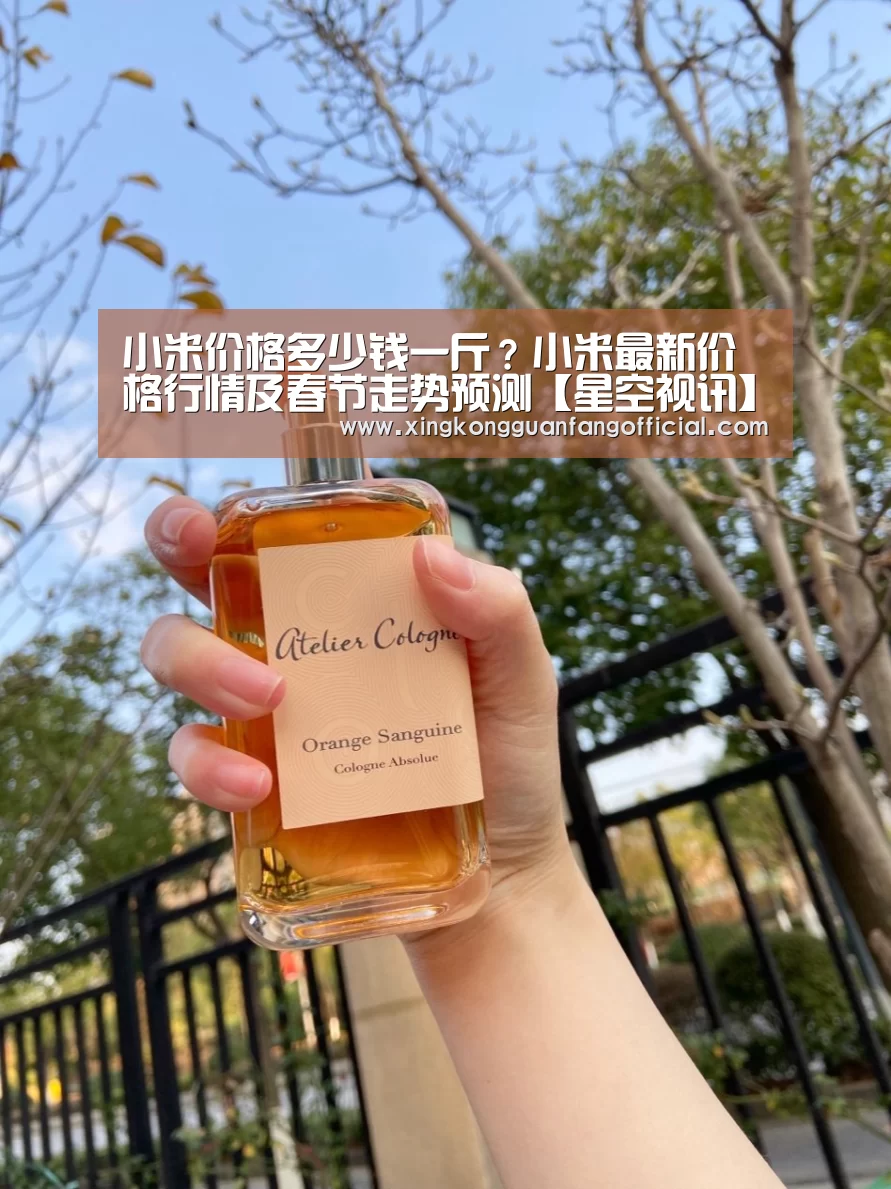 小米价格多少钱一斤?小米最新价格行情及春节走势预测【星空视讯】(图1) 星空官方