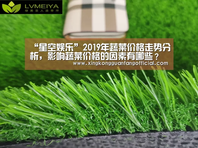 “星空娱乐”2019年蔬菜价格走势分析,影响蔬菜价格的因素有哪些?(图2) 星空视讯