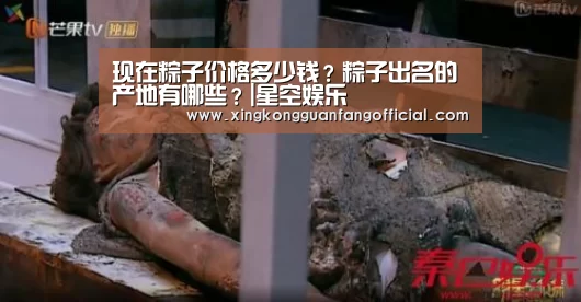 现在粽子价格多少钱?粽子出名的产地有哪些?|星空娱乐(图2) 星空官方