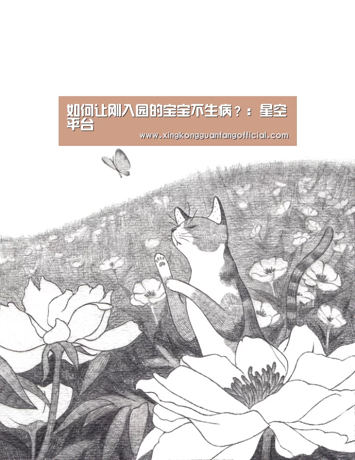 如何让刚入园的宝宝不生病?:星空平台(图3) 星空平台