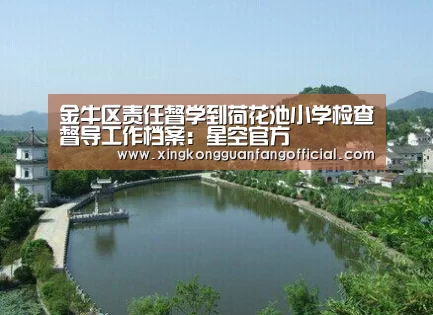 金牛区责任督学到荷花池小学检查督导工作档案:星空官方(图4) 星空官方