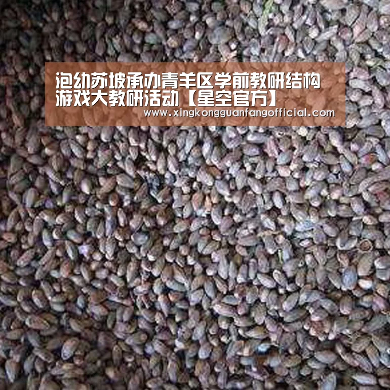 泡幼苏坡承办青羊区学前教研结构游戏大教研活动【星空官方】(图1) 星空娱乐