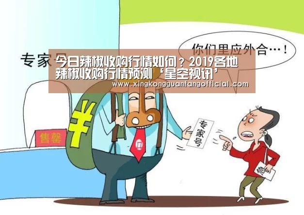 今日辣椒收购行情如何?2019各地辣椒收购行情预测‘星空视讯’(图1) 星空官方