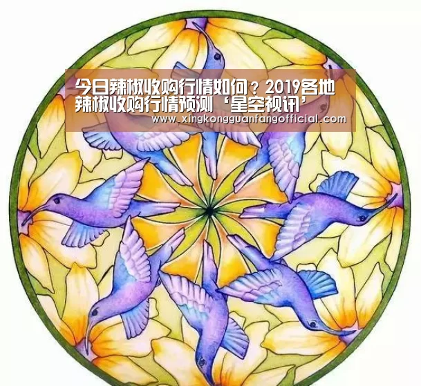 今日辣椒收购行情如何?2019各地辣椒收购行情预测‘星空视讯’(图3) 星空官方