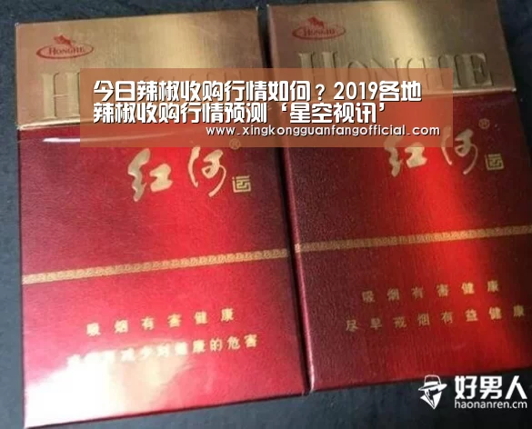 今日辣椒收购行情如何?2019各地辣椒收购行情预测‘星空视讯’(图2) 星空平台